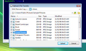SSH2 Remote Copy - Upload Example